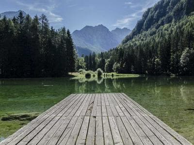 Global Climate Summit Reaches Historic Agreement